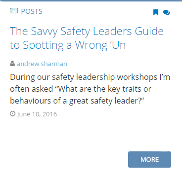 Safety Leaders